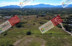 Nadi, Western Division