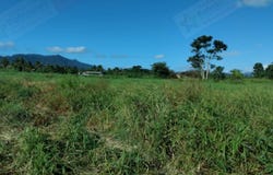 Labasa, Northern Division