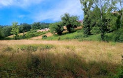 MIRANDOL BOURGNOUNAC, Occitanie 81190
