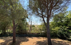 L ISLE JOURDAIN, Occitanie 32600