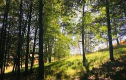 Saint-Pierre-de-Chignac, Aquitaine 24330