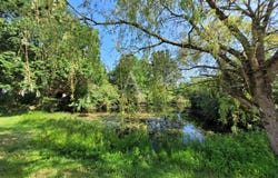 SALLERTAINE, Pays de la Loire 85300