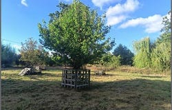 Feins, Bretagne 35440