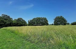 Balma, Haute-Garonne 31130