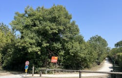 Hiers-Brouage, Poitou-Charentes 17320