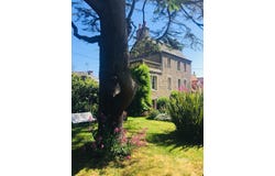 Fermanville, Normandy 50840