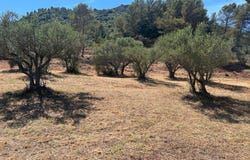 Gonfaron, Provence-Alpes-Côte d'Azur 83590