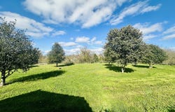 Varaire, Midi-Pyrénées 46260