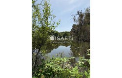 Ingrandes, Poitou-Charentes 86220