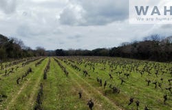Salinelles, Gard 30250