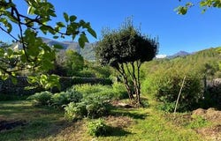 Montaut, Aquitaine 64800
