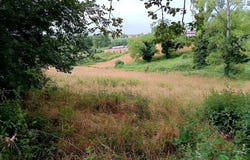 MIRANDOL BOURGNOUNAC, Occitanie 81190