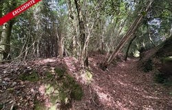 Molac, Bretagne 56230