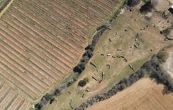 Servian, Languedoc-Roussillon 34290