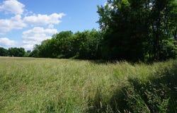 Thiviers, Dordogne 24800