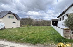 Willer, Alsace 68960