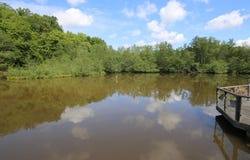 Chiddes, Burgundy 58170