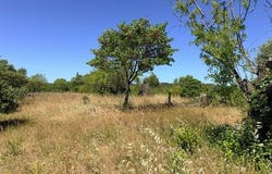 Saint-Georges-d'Orques, Languedoc-Roussillon 34680