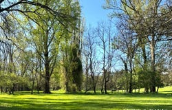 Lasgraisses, Occitanie 81300