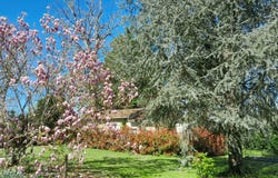 Condac, Poitou-Charentes 16700