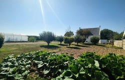 Lanmeur, Bretagne 29620