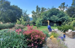 Prades, Languedoc-Roussillon 66500