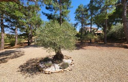 Douzens, Languedoc-Roussillon 11700