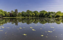 Pau, Aquitaine 64000