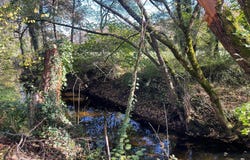 Saint-Selve, Gironde 33650