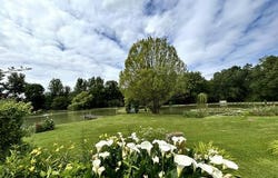 Selles-Sur-Cher, Centre 41130