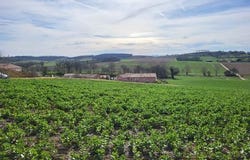 PUYCASQUIER, Midi-Pyrénées 32120