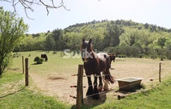 Allan, Rhône-Alpes 26780