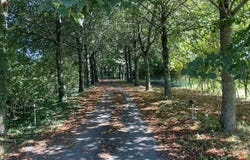 Hardanges, Pays de la Loire 53640