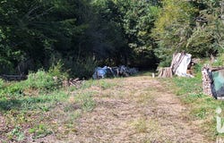 Luant, Centre-Val de Loire 36350