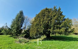Chevreuse, Ile-de-France 78460