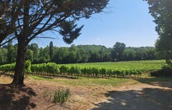 Pujols, Aquitaine 33350