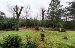 Montendre, Poitou-Charentes 17130