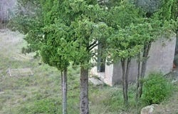 Olonzac, Languedoc-Roussillon 34210