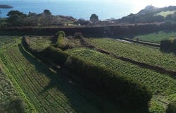 Roscoff, Bretagne 29680