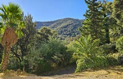 Laroque-des-Albères, Languedoc-Roussillon 66740