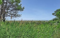 Gujan-Mestras, Aquitaine 33470