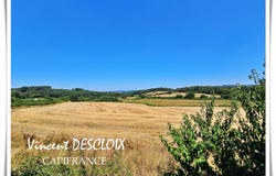 Brassy, Burgundy 58140