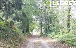 Chéronnac, Nouvelle-Aquitaine 87600