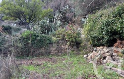 Occhiatana, Corsica 20226