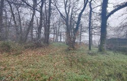 Jussas, Charente-Maritime 17130