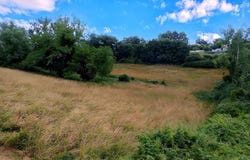 MIRANDOL BOURGNOUNAC, Occitanie 81190