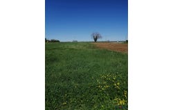 Rauzan, Gironde 33420