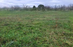 L'ISLE EN DODON, Occitanie 31230