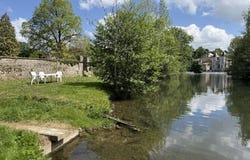 Civray, Poitou-Charentes 86400