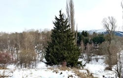 La Cabanasse, Pyrénées-Orientales 66210